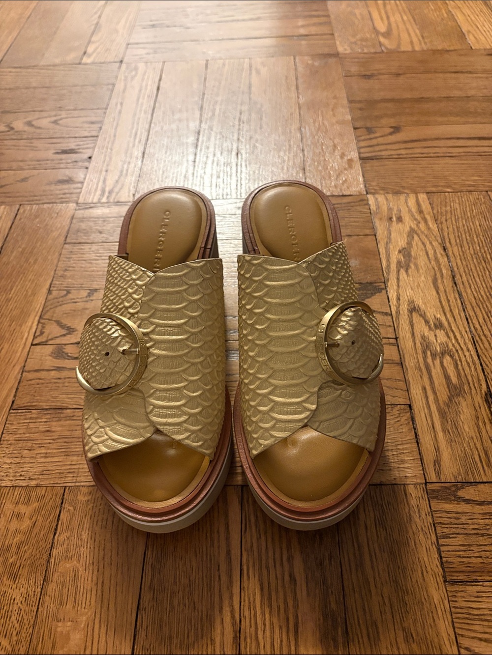 Robert Clergerie Gold Textured Leather Slide Clogs with Buckle